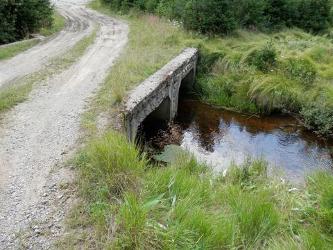 Foto 98